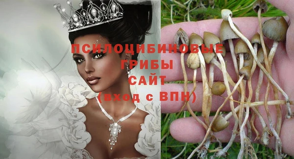 соль курить ск Кодинск