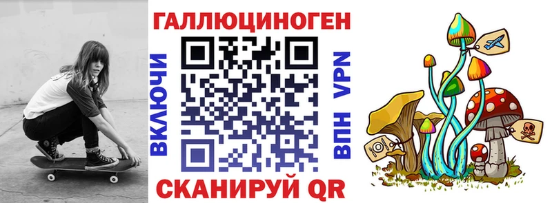 Купить закладки  Александровское  Псилоцибиновые грибы ЛСД 