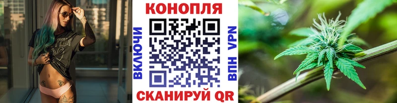 Купить где  Александровское  Каннабис сатива 